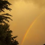 Goldener Himmel mit Regenbogen und Baum..